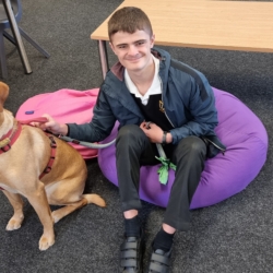 Milo the wellbeing dog with Year 11 student Jake
